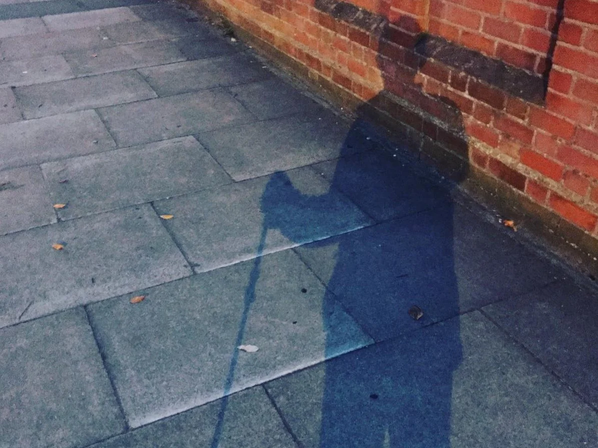    The Shadow     (2022), photo by O