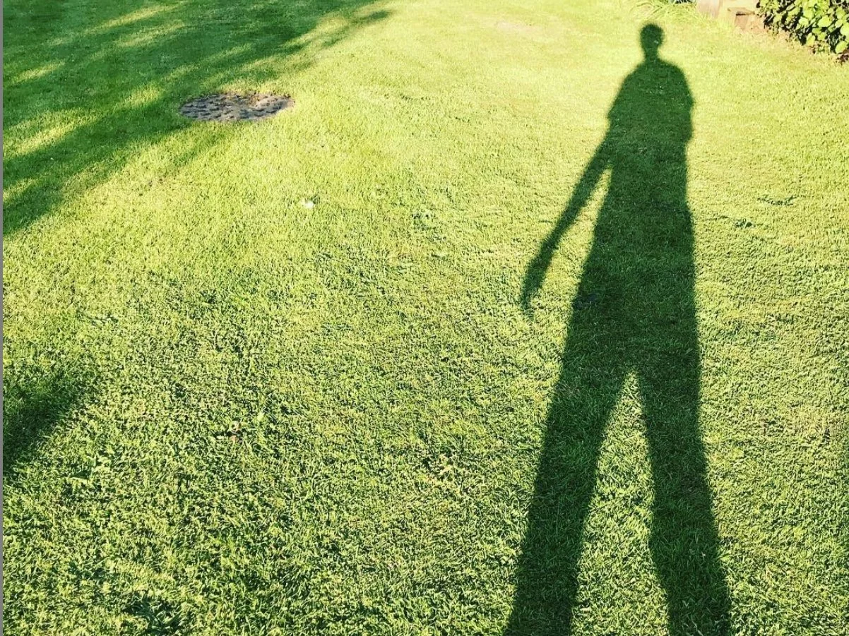    The Shadow     (2022), photo by O