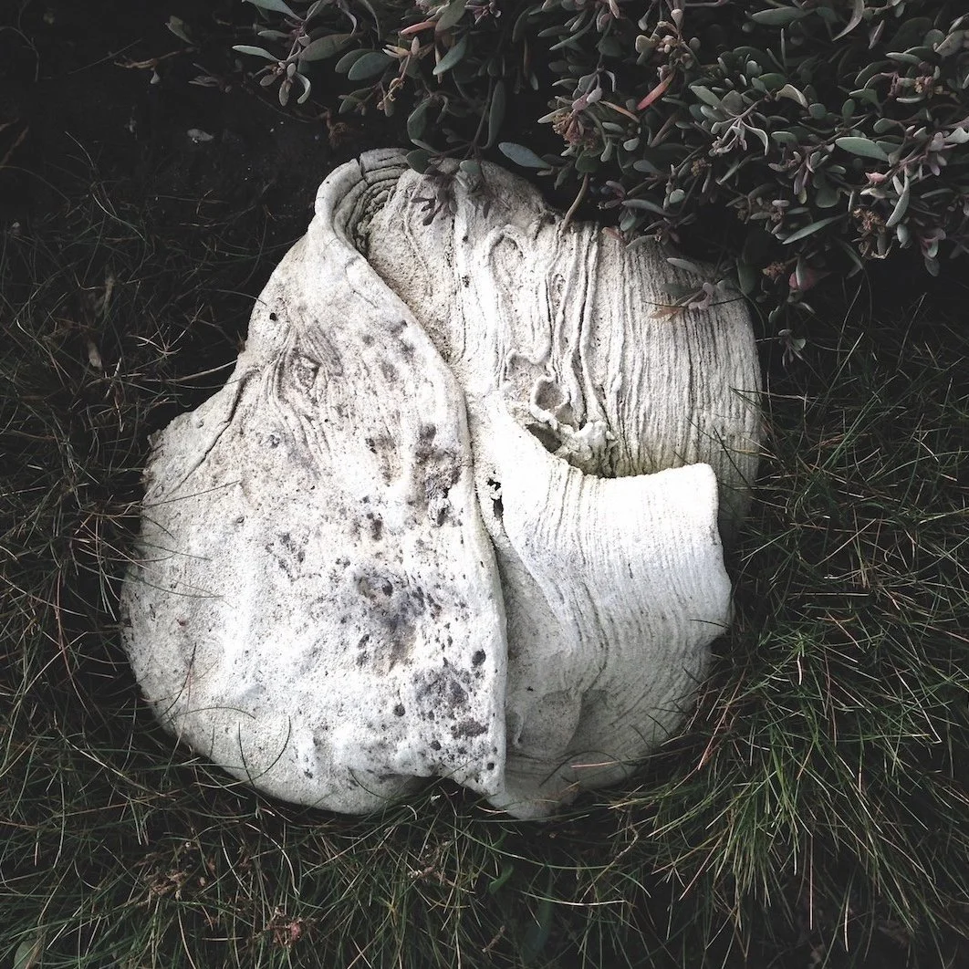    Plastic      (2020), photo by O