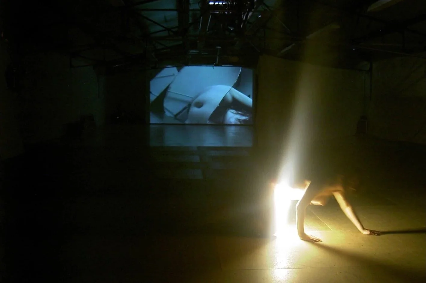   Body Is The First Word I Say     (2006), Eve Bonneau. Photo by Eve Bonneau.