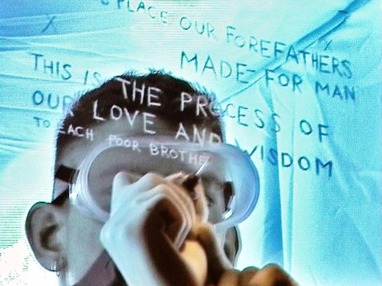   Songbird     (2000). Photo by Andy B.