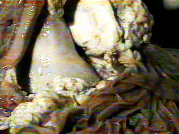   Evidence of Life After Death     (1999). Film backdrop video still.