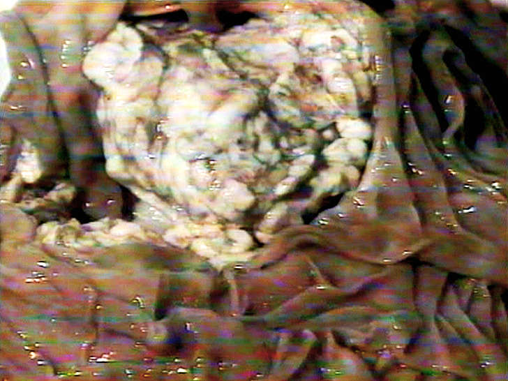   Evidence of Life After Death     (1999). Film backdrop video still.