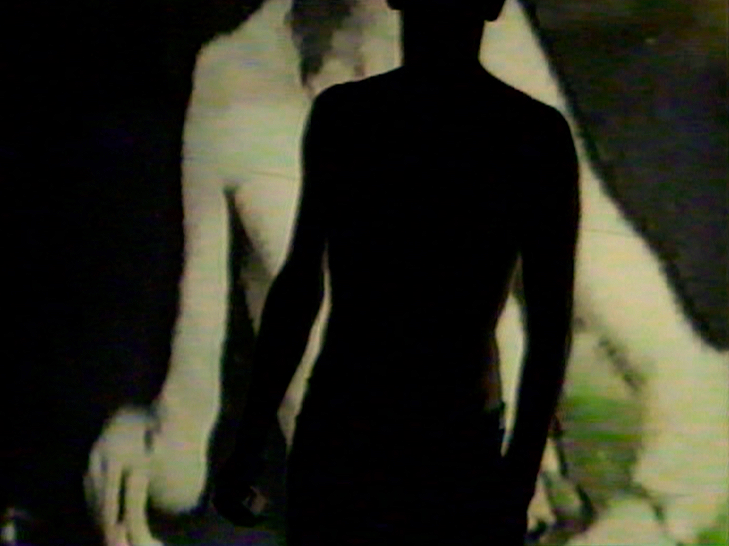   Evidence of Life After Death     (1999). Film backdrop video still.