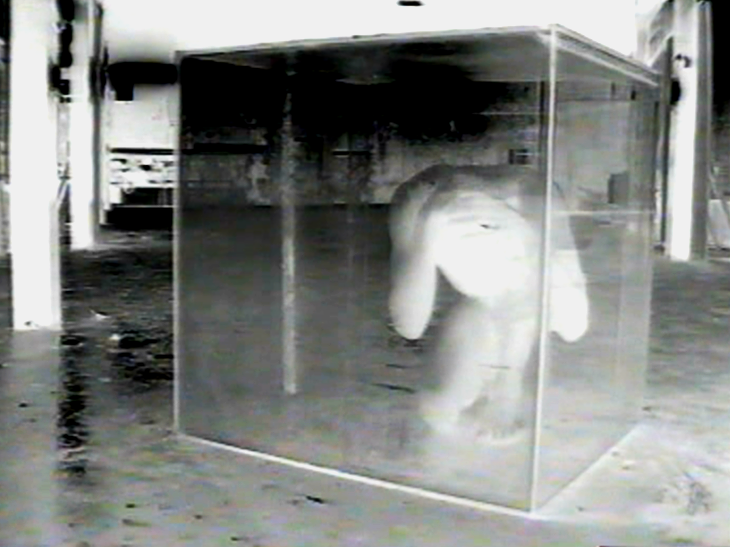   Evidence of Life After Death     (1999). Film backdrop video still.