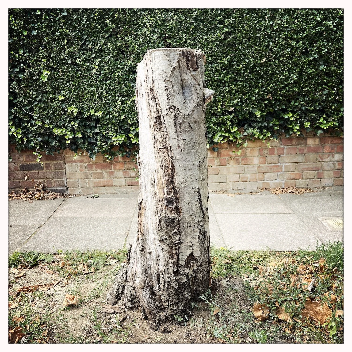 HipstamaticPhoto-745080216.181155.jpg