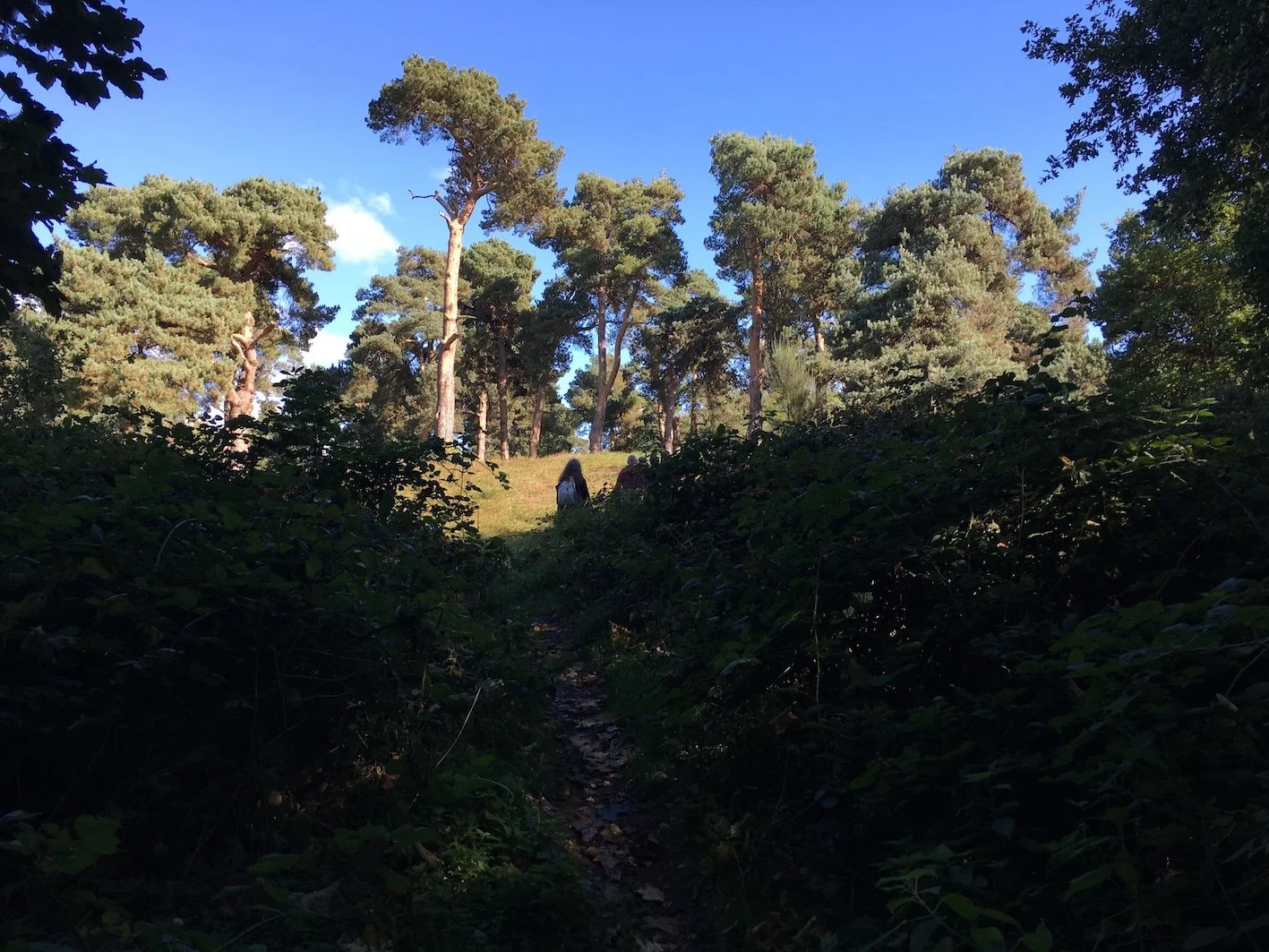 RAMBLE