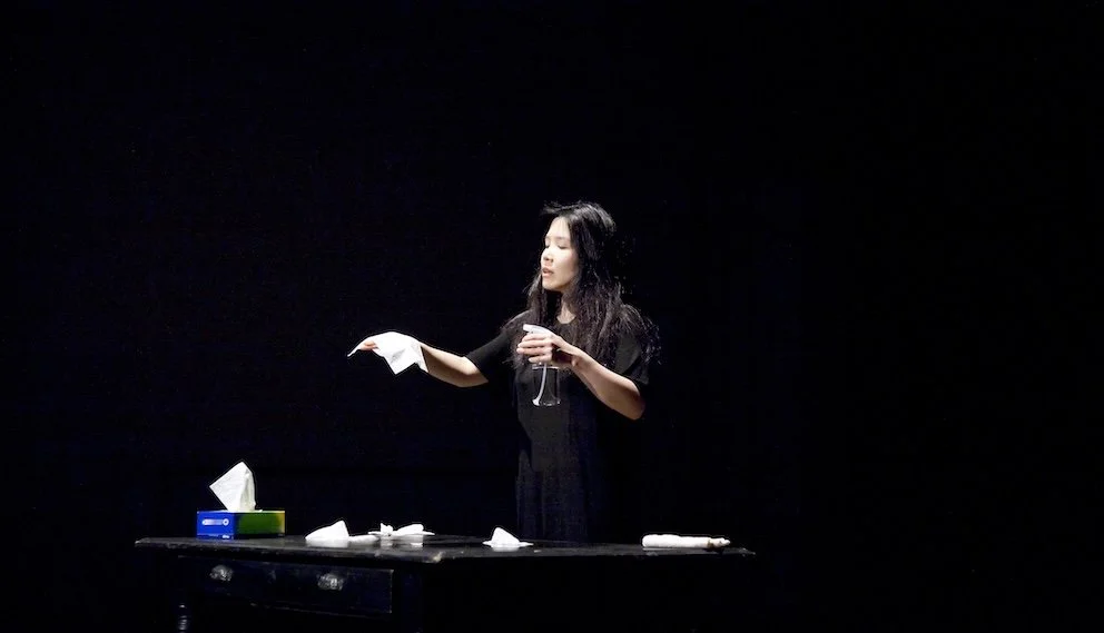   Hamlet (Tissues)   (2011) by Jungmin Song Photo by Pari Naderi.
