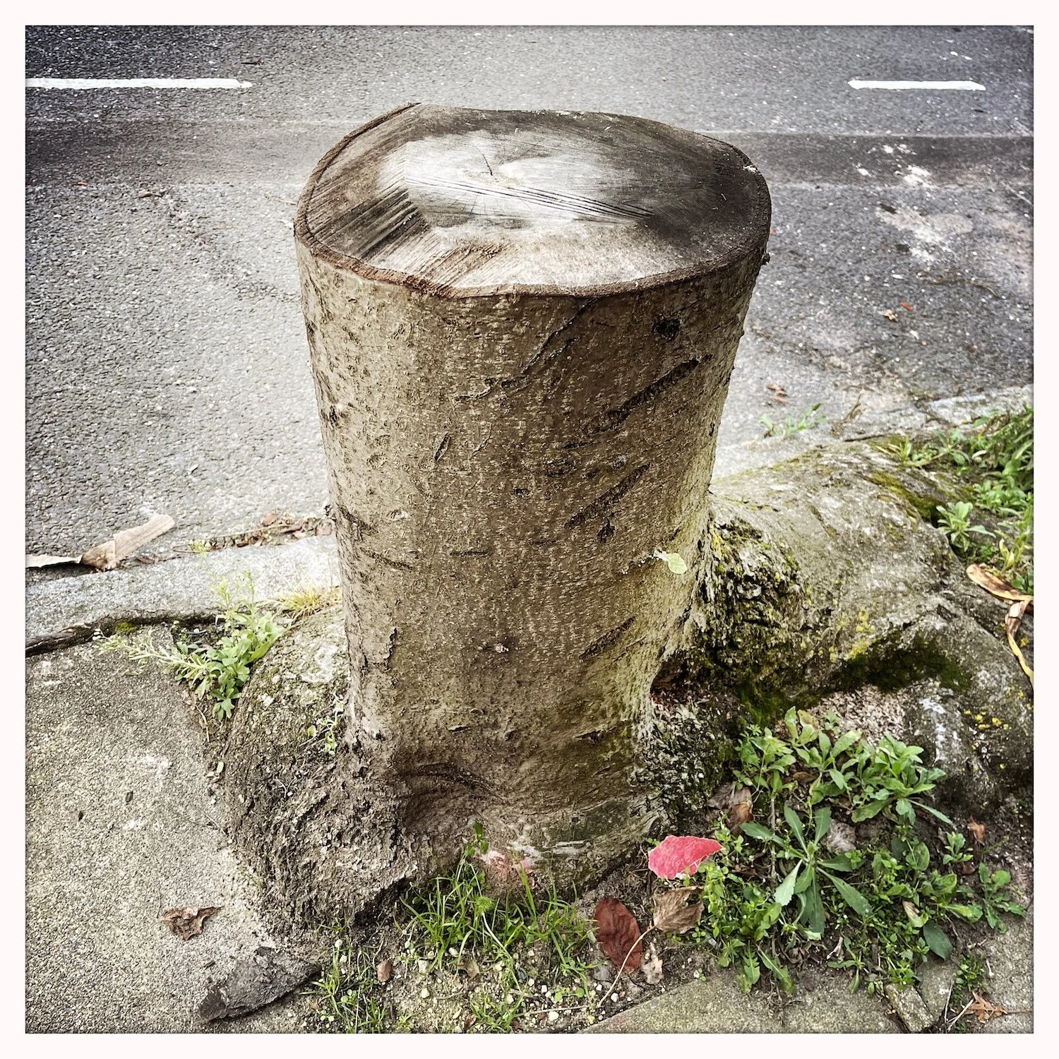 HipstamaticPhoto-753031261.430013.jpg