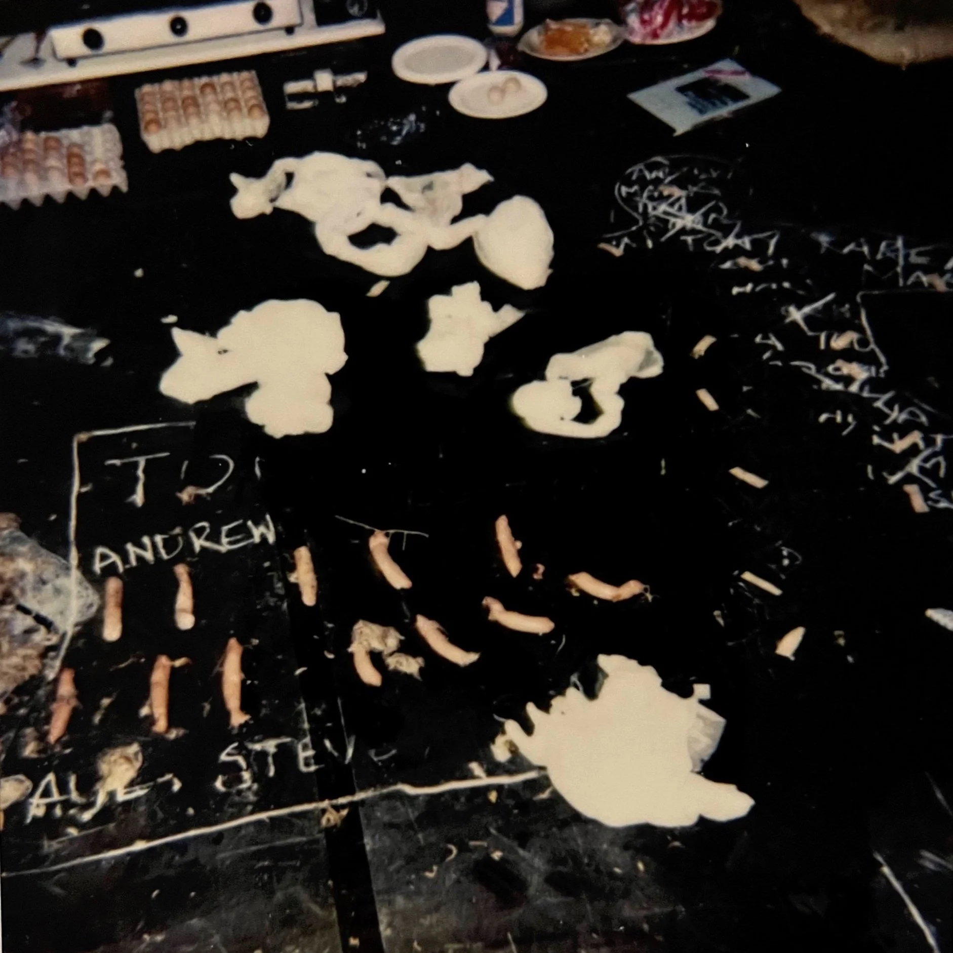   The Architecture of Anatomy     (1993), onstage polaroid