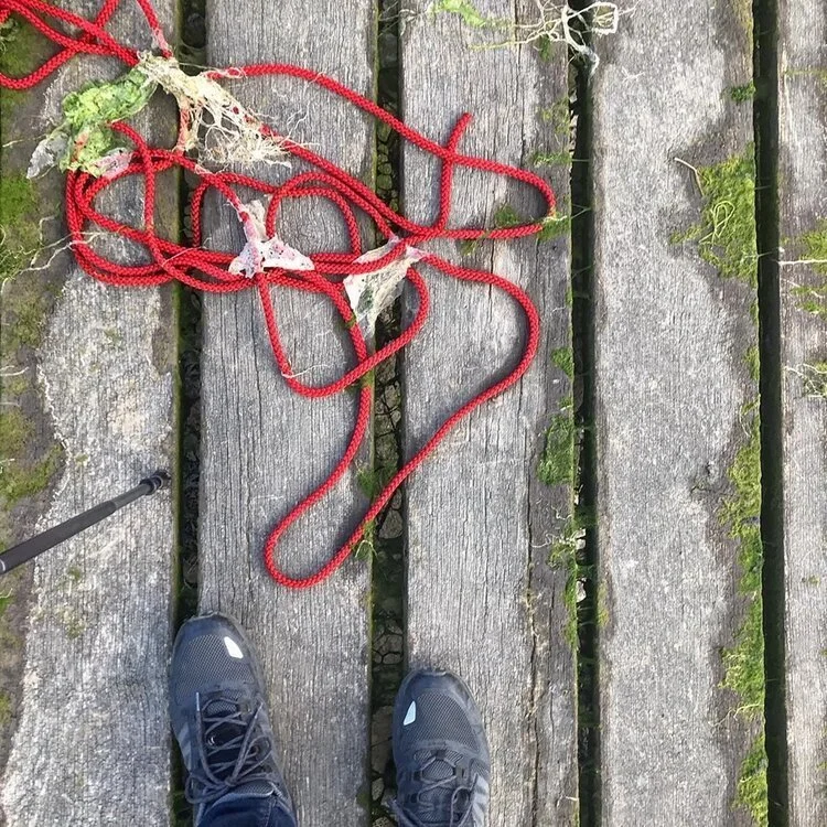 The red rope,    Mourning Sickness      (2019) by The Rough Band. Photo by O.