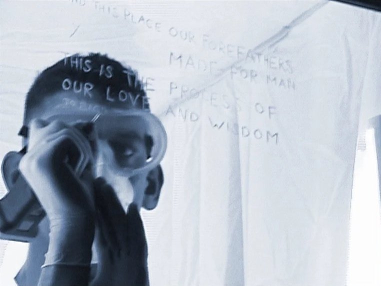   Songbird     (2000). Photo by Andy B.