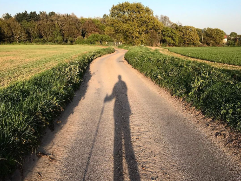    The Shadow     (2022), photo by O