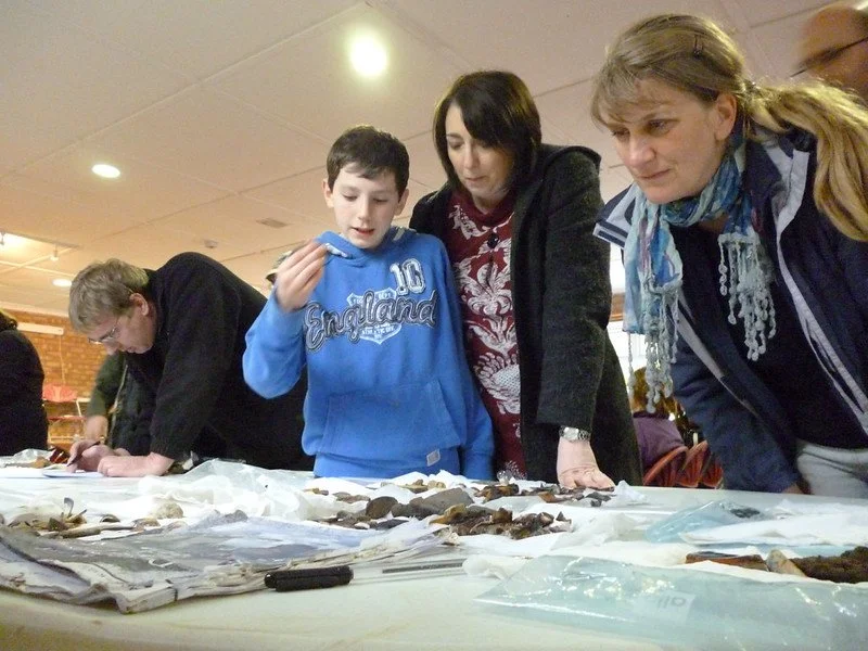 Carenza Lewis at Peakirk   Dig & Sow    (2012), photo by Access Cambridge Archaeology