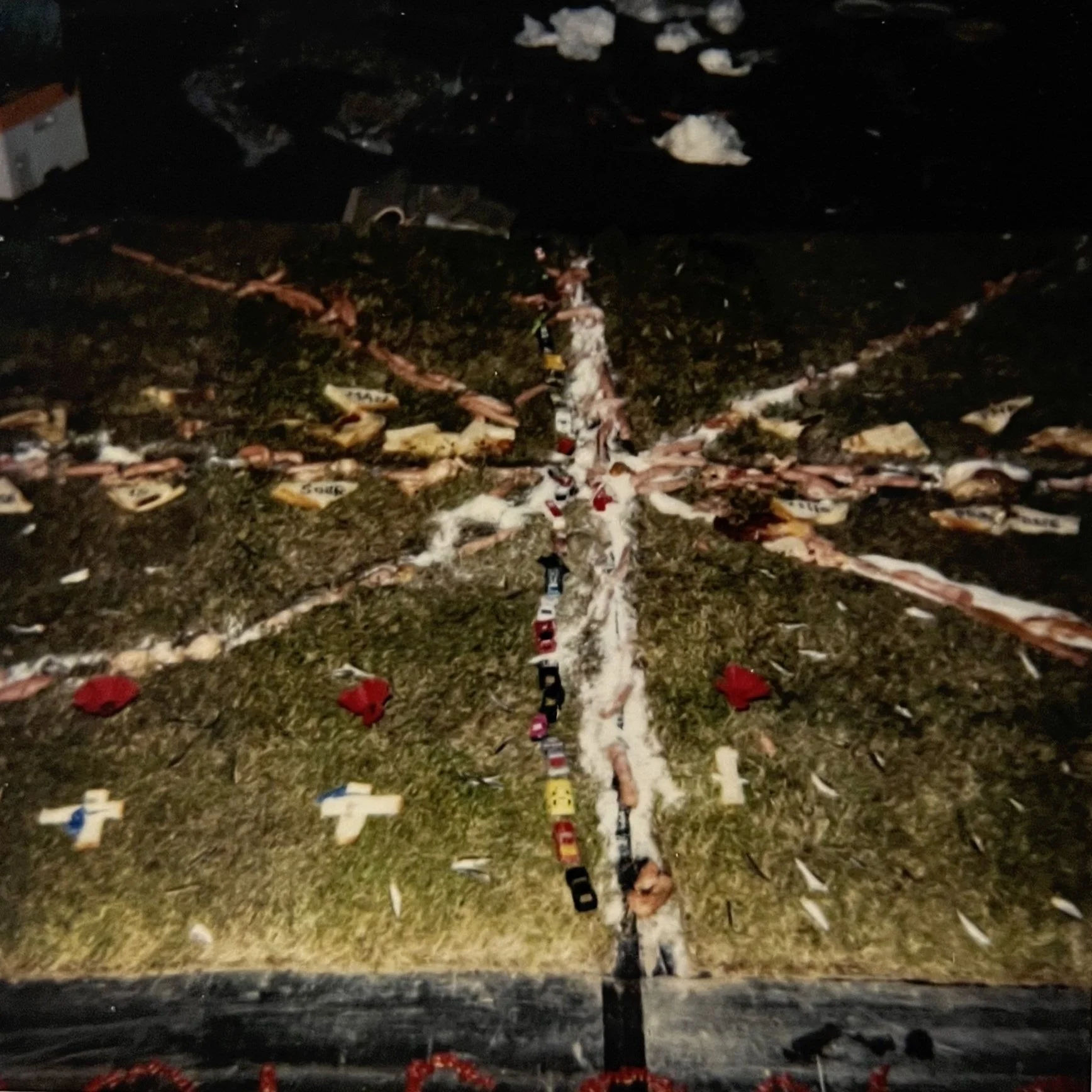   The Architecture of Anatomy     (1993), onstage polaroid