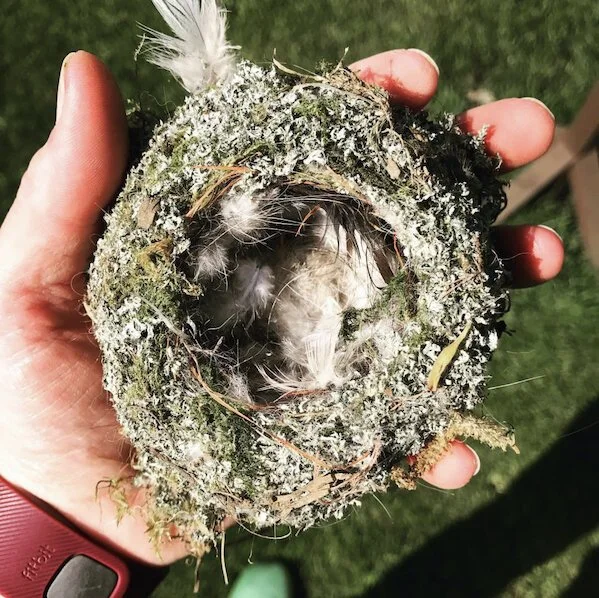 O holds a nest,   A Beating     (2020) by the Rough Band. 