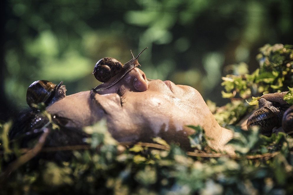  Snail Portrait  (2014) by Shabnam Shahbazi. Photo by Guido Mencari.
