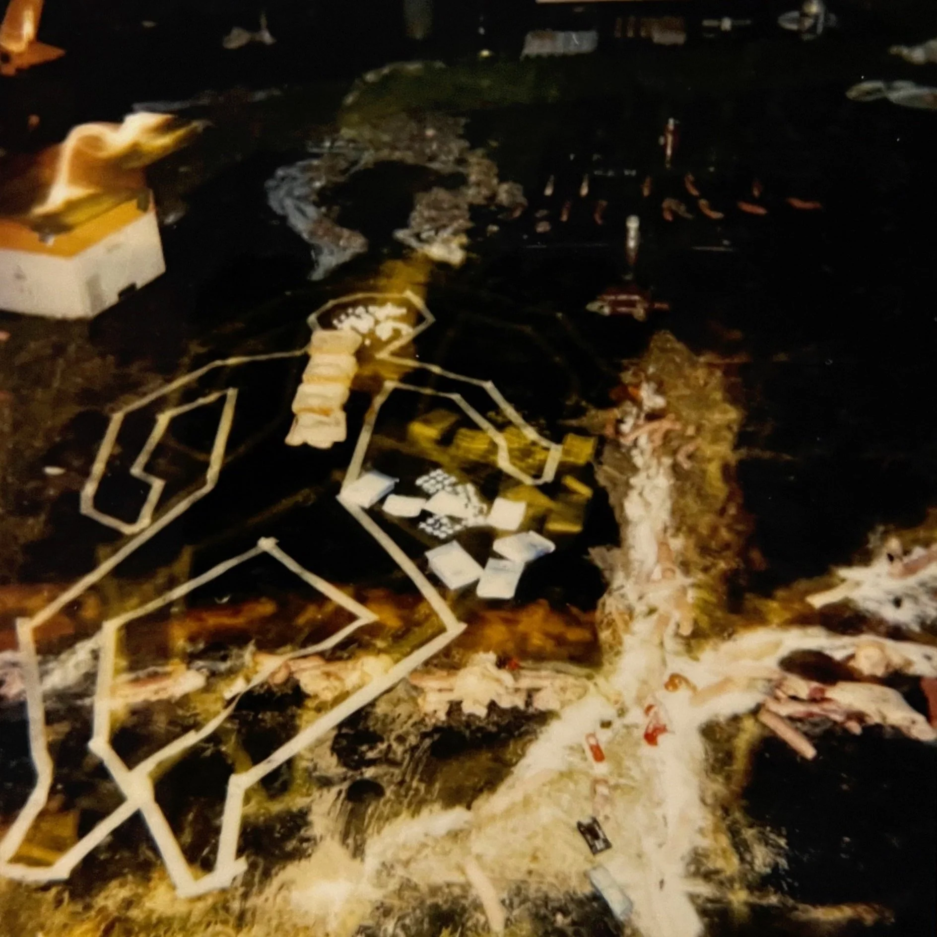   The Architecture of Anatomy     (1993), onstage polaroid