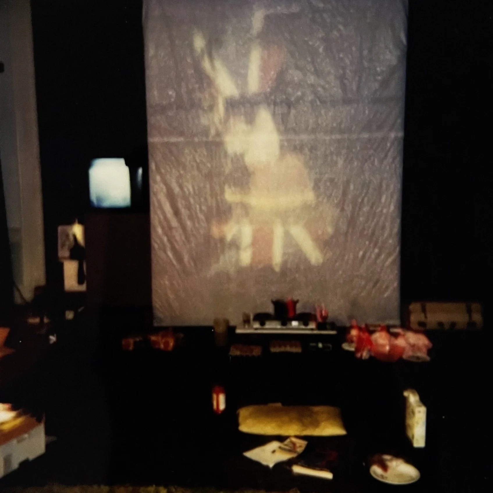   The Architecture of Anatomy     (1993), onstage polaroid