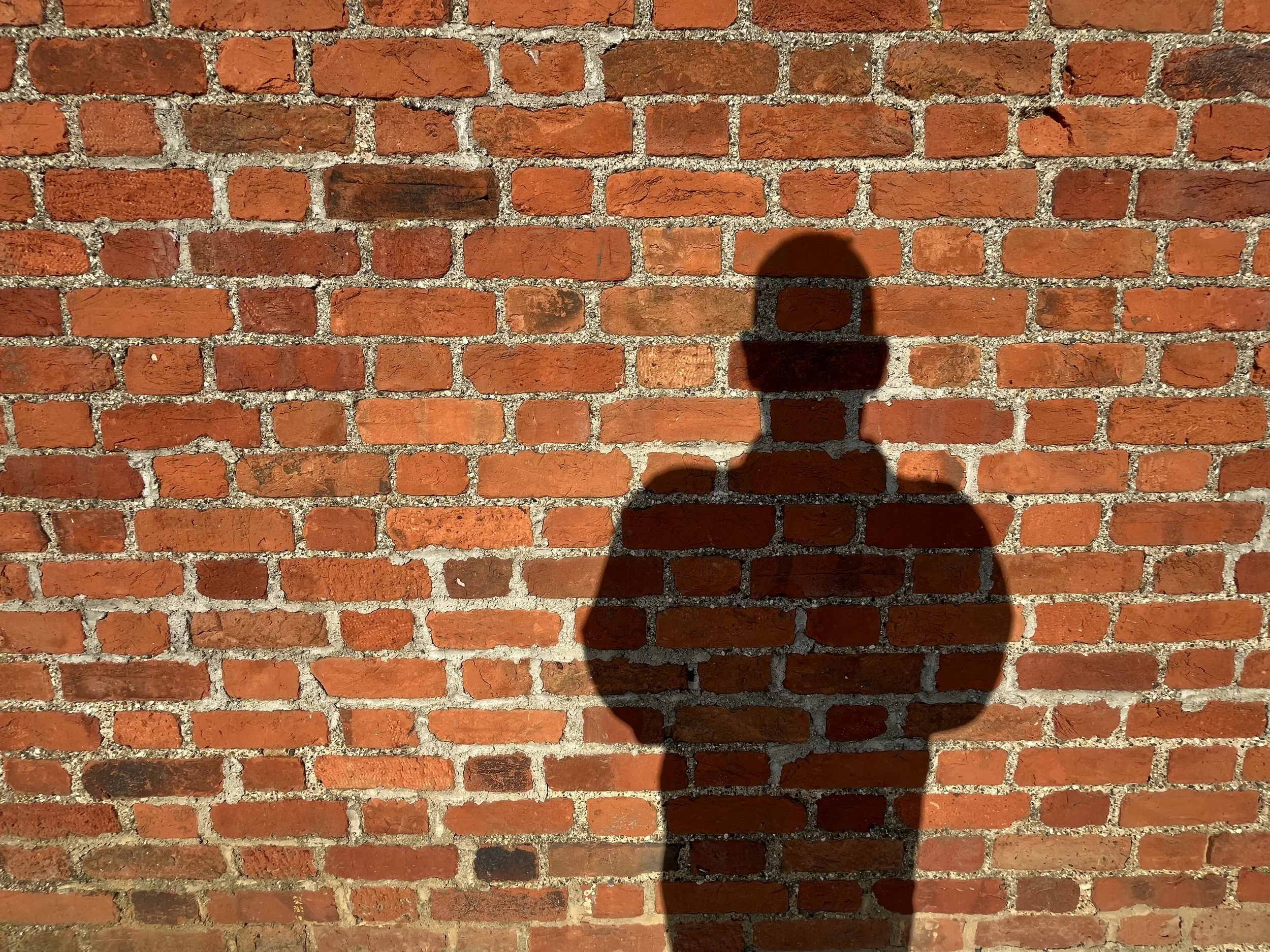    The Shadow     (2022), photo by Merry