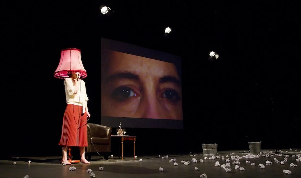   I Guess If The Stage Exploded   (2011) by Sylvia Rimat. Photo by Pari Naderi.