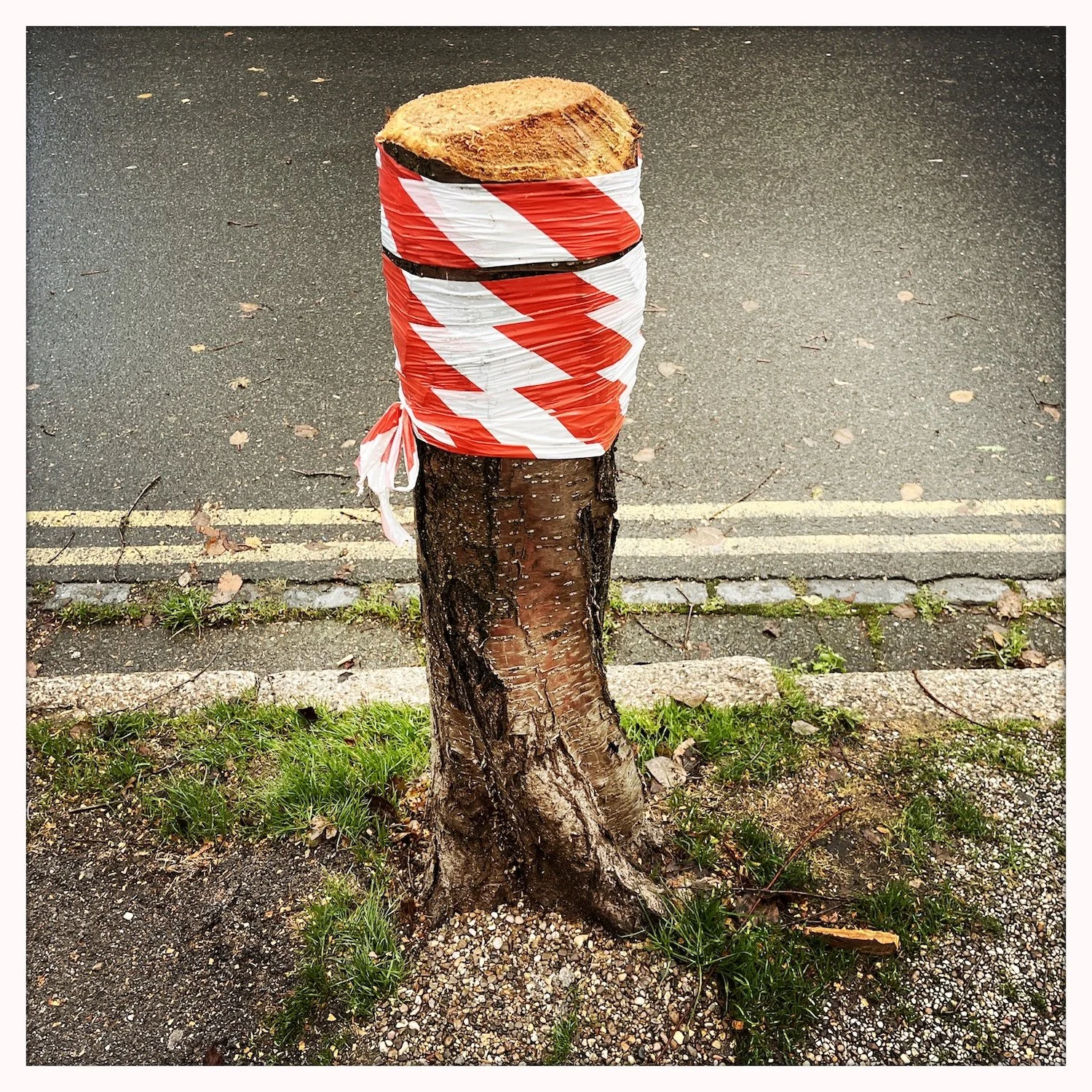 HipstamaticPhoto-753724201.788785.jpg