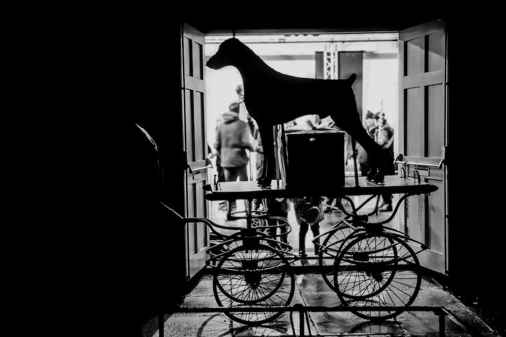 Bad news on the bier,   Pyre Parade   (2019) by The Rough Band. Photo by Gillian Allard.