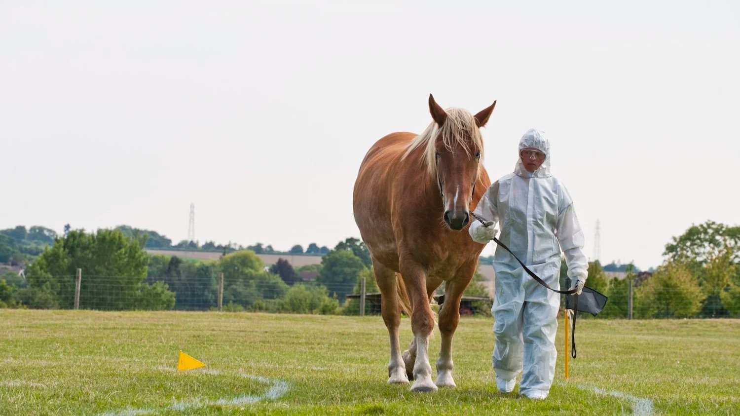   On Landguard Point     (2012), film still