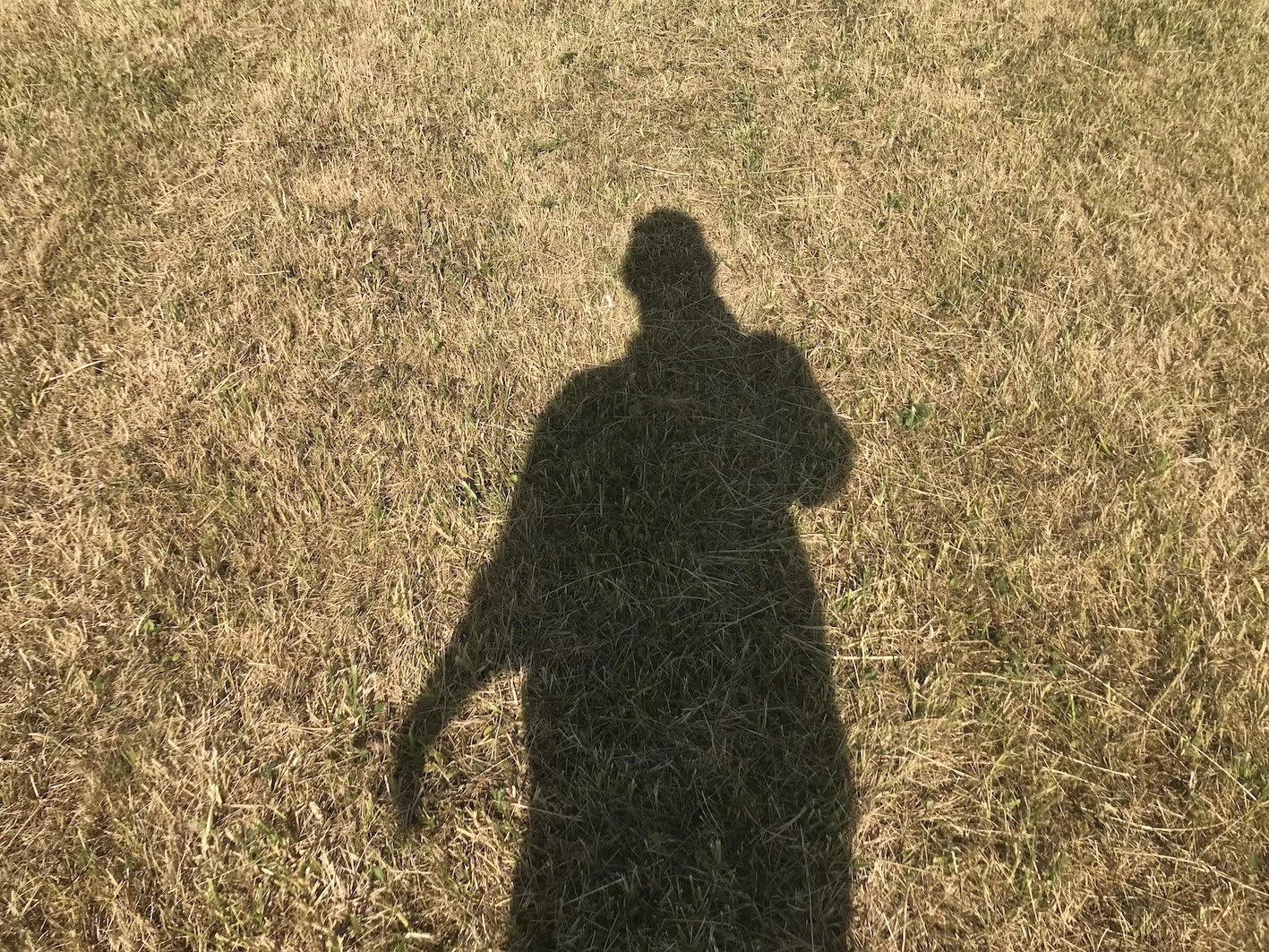    The Shadow     (2022), photo by Merry