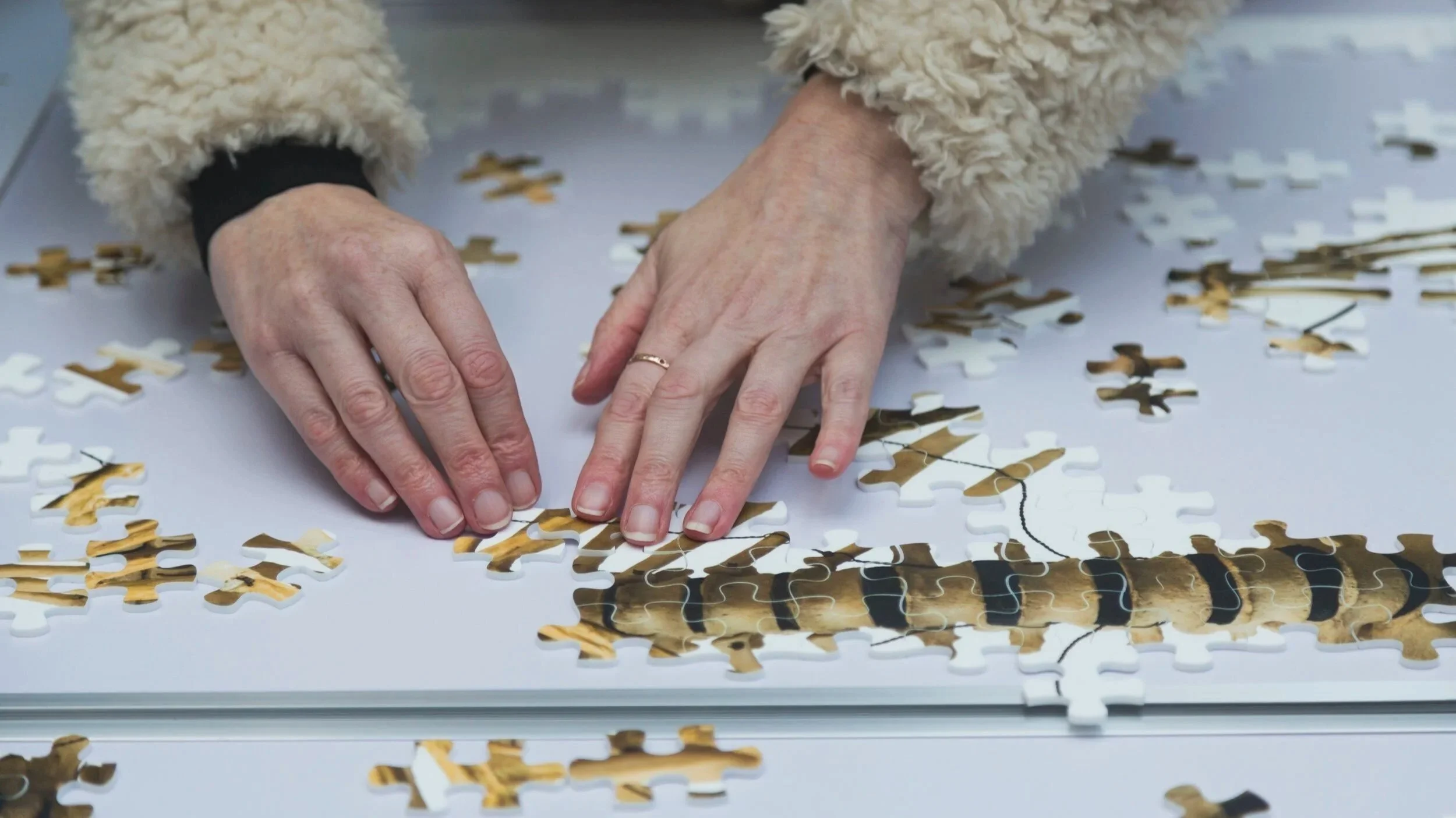   Shared Frameworks   (2018) by Robert Pacitti and Lucy Walker. Photo by Christa Holka.