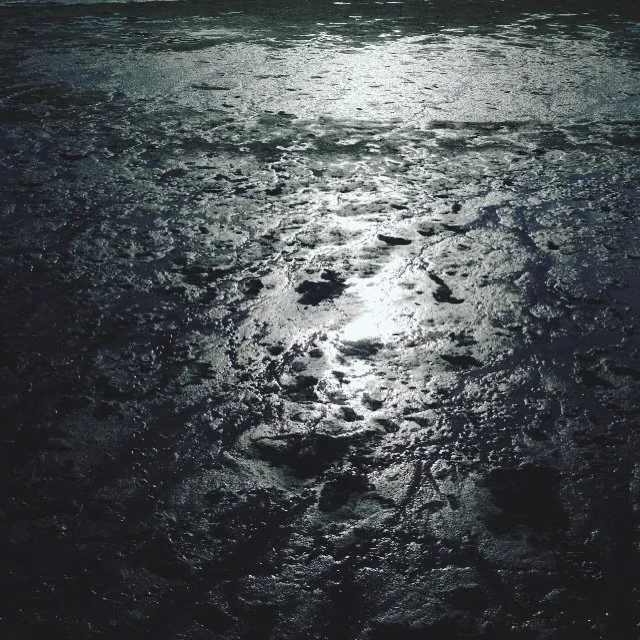    Mud      (2020), photo by O