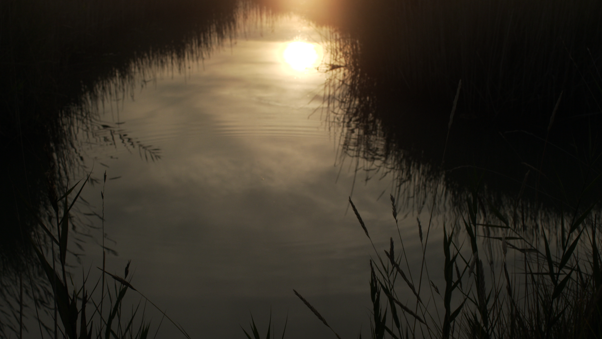   On Landguard Point     (2012), film still