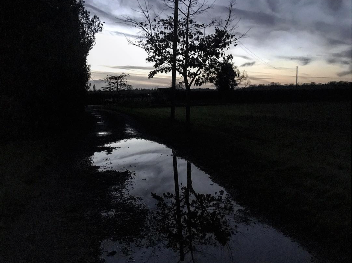    The Shadow     (2022), photo by O