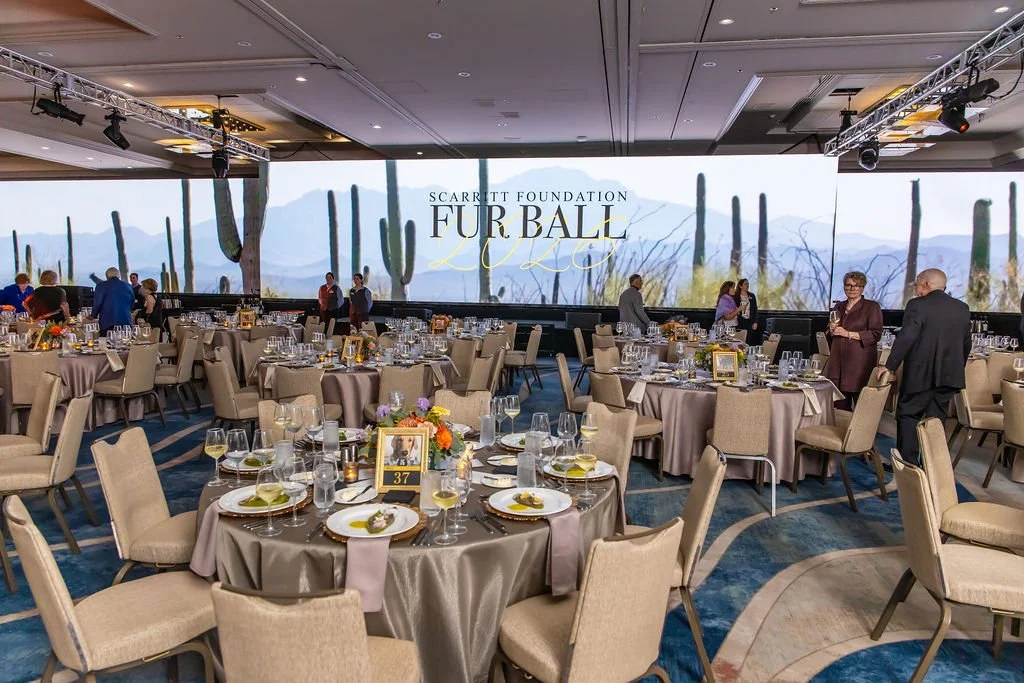 2026_10_23_muggle_Scarritt_Group_Fur_Ball_Westin_La_Paloma_0262.jpg