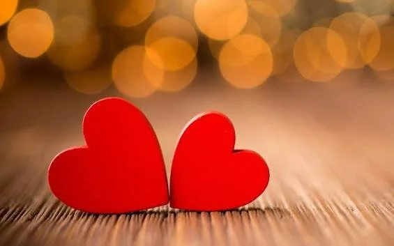 LOVEFest