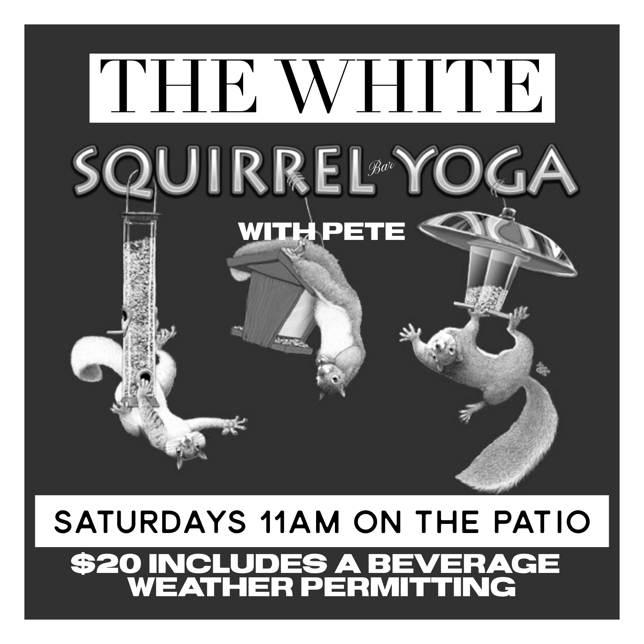 The White Squirrel Bar