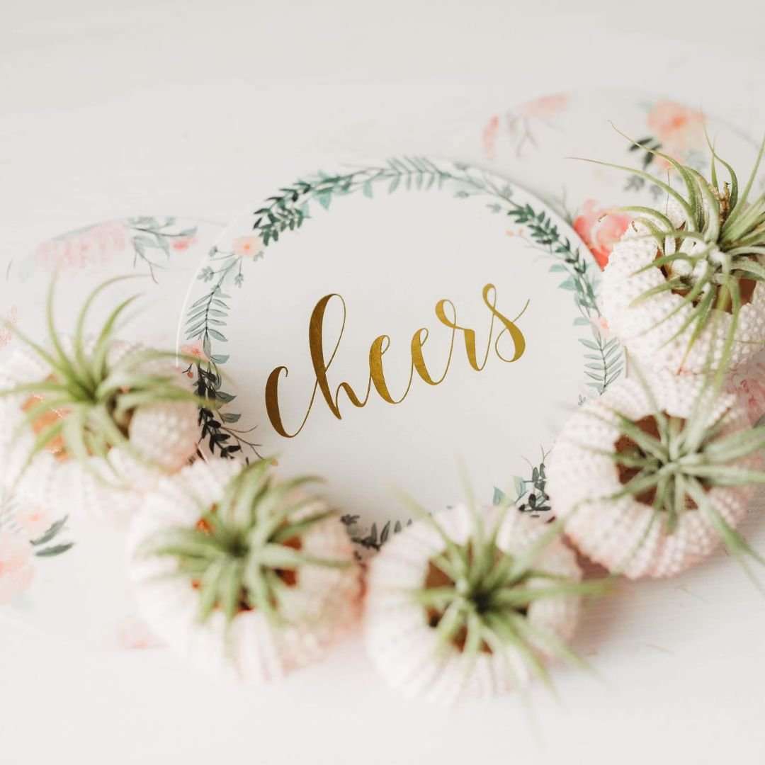 Party-Favors-Air-Plant.jpg