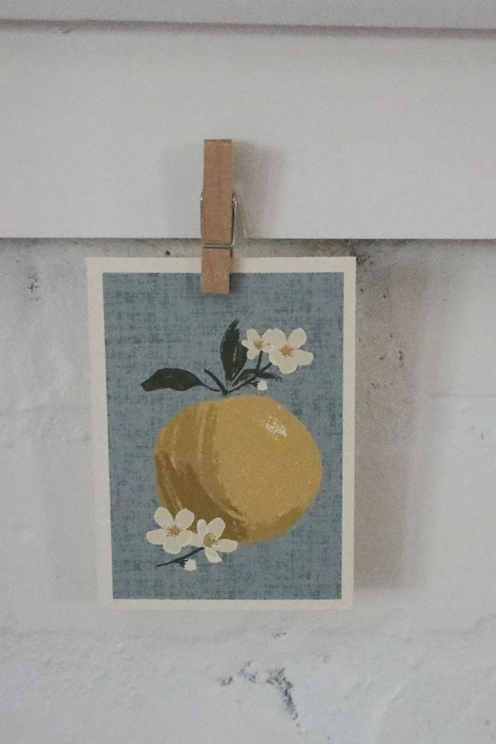 Apple Blossom 1.jpg