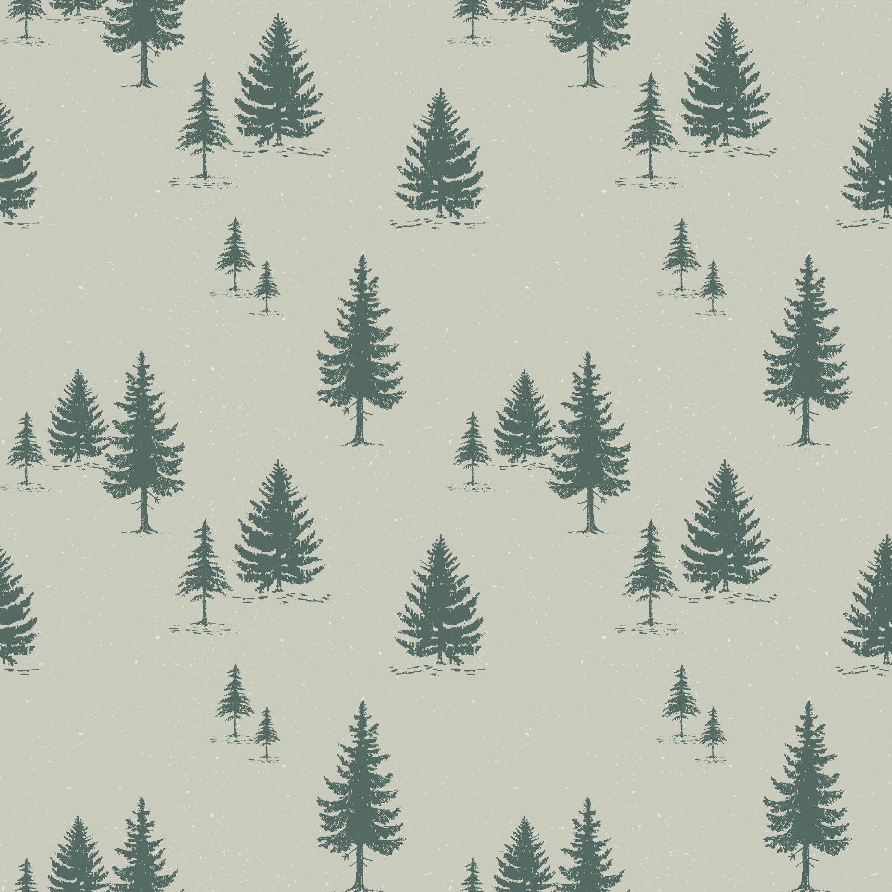Evergreen Forest