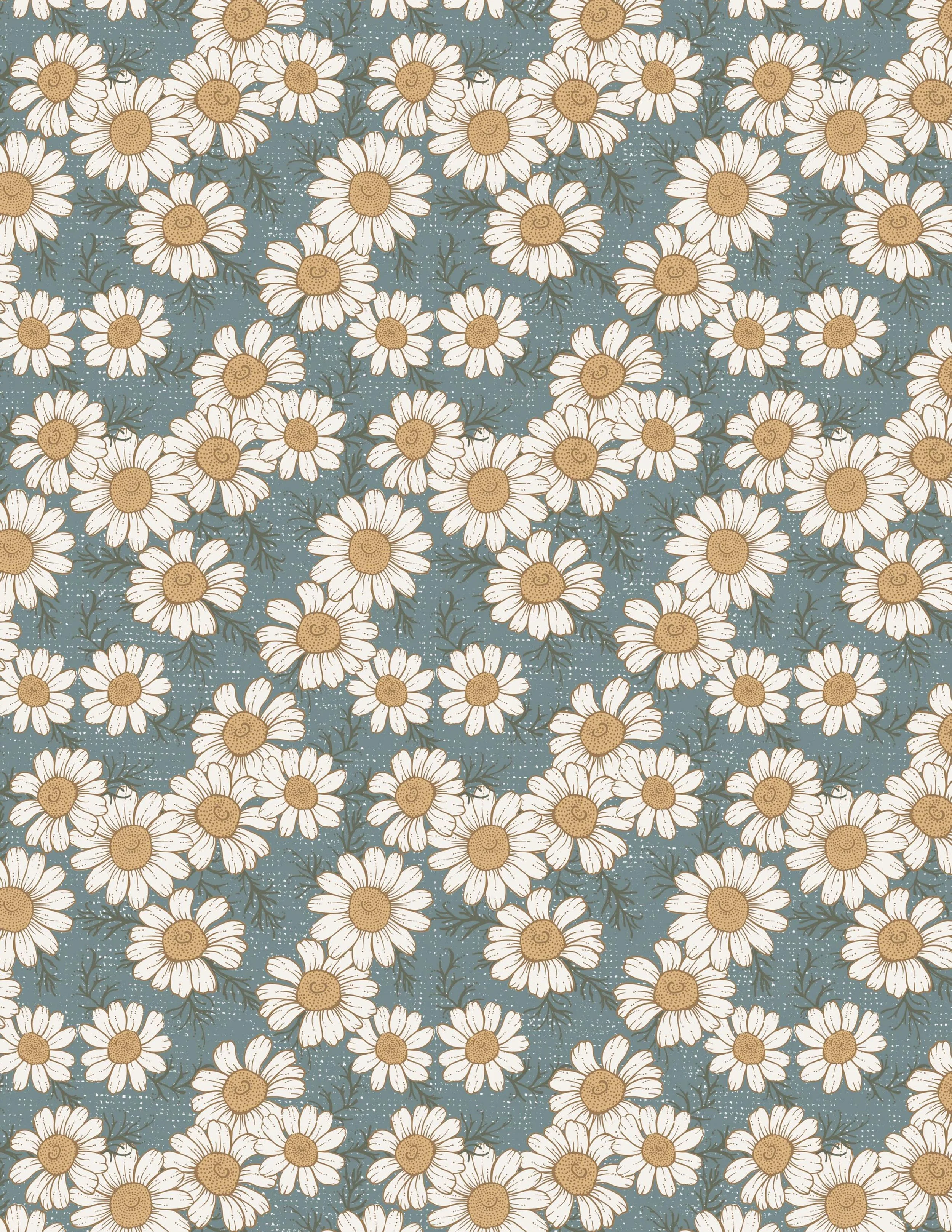 Wild Chamomile