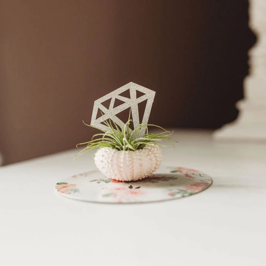 Engagement-Party-Air-Plants.jpg
