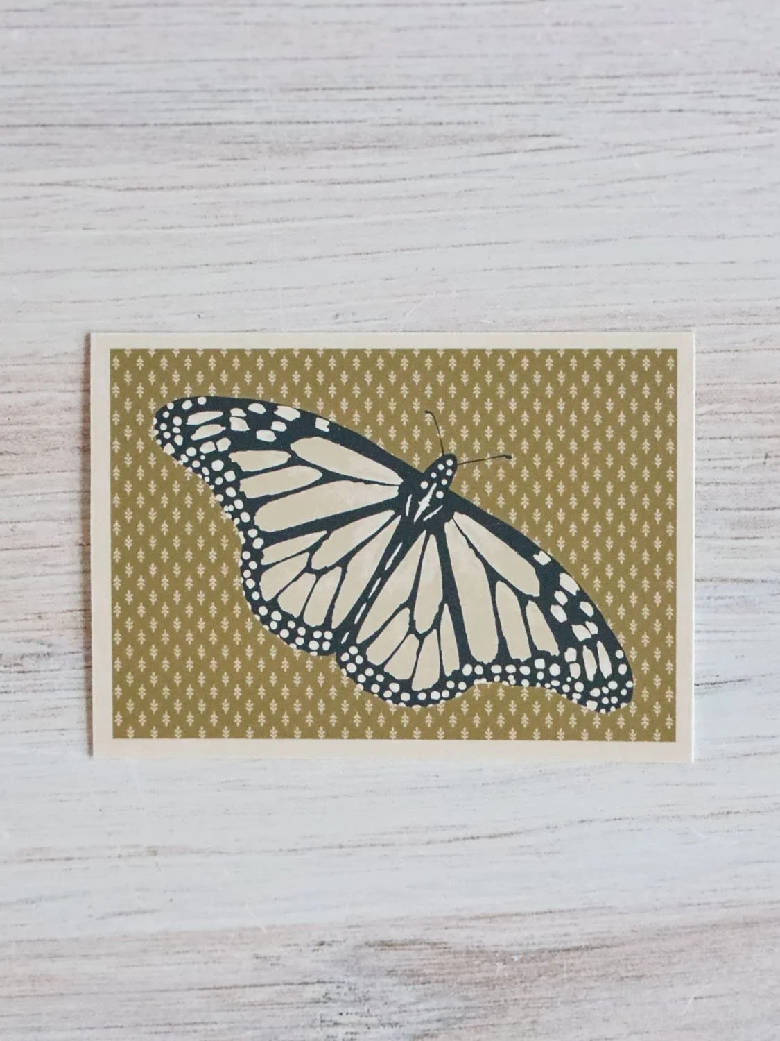 White Monarch 4.jpg
