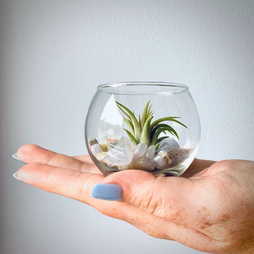 Mini Bubble in Hand.jpg