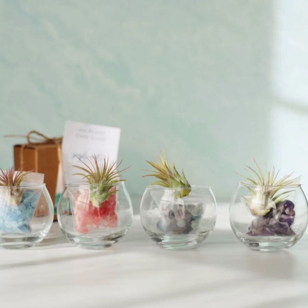 Mini Bubble Set.jpg
