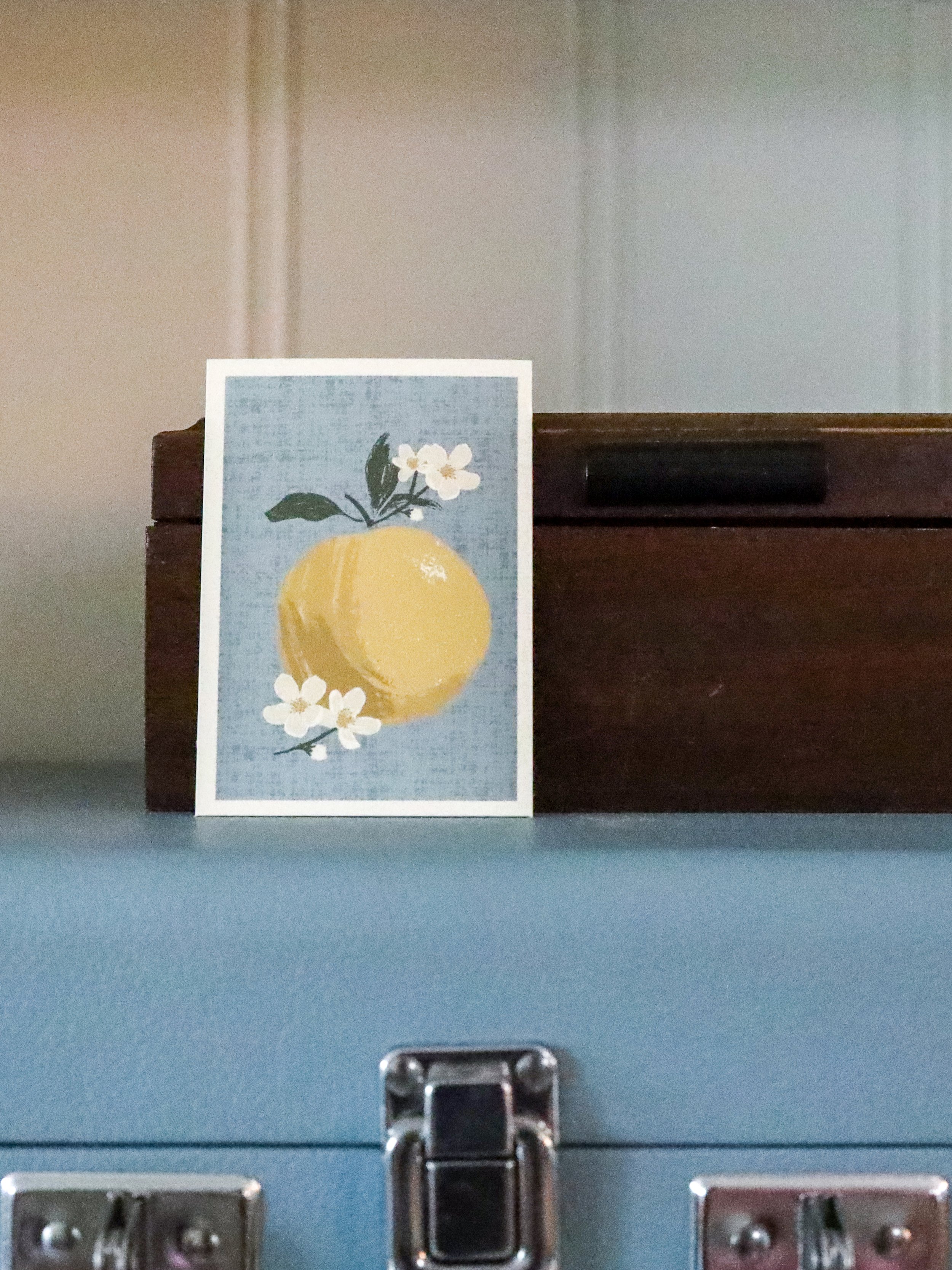 Apple Blossom 4.jpg