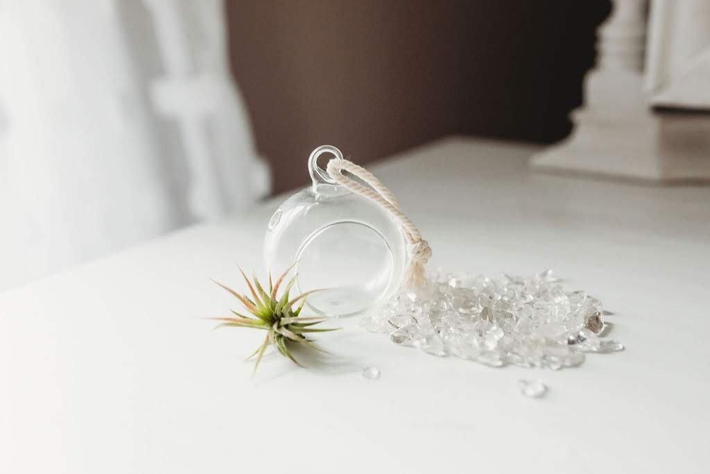 Orb-Air-Plant-Terrarium-Moonstone-Stone.jpg
