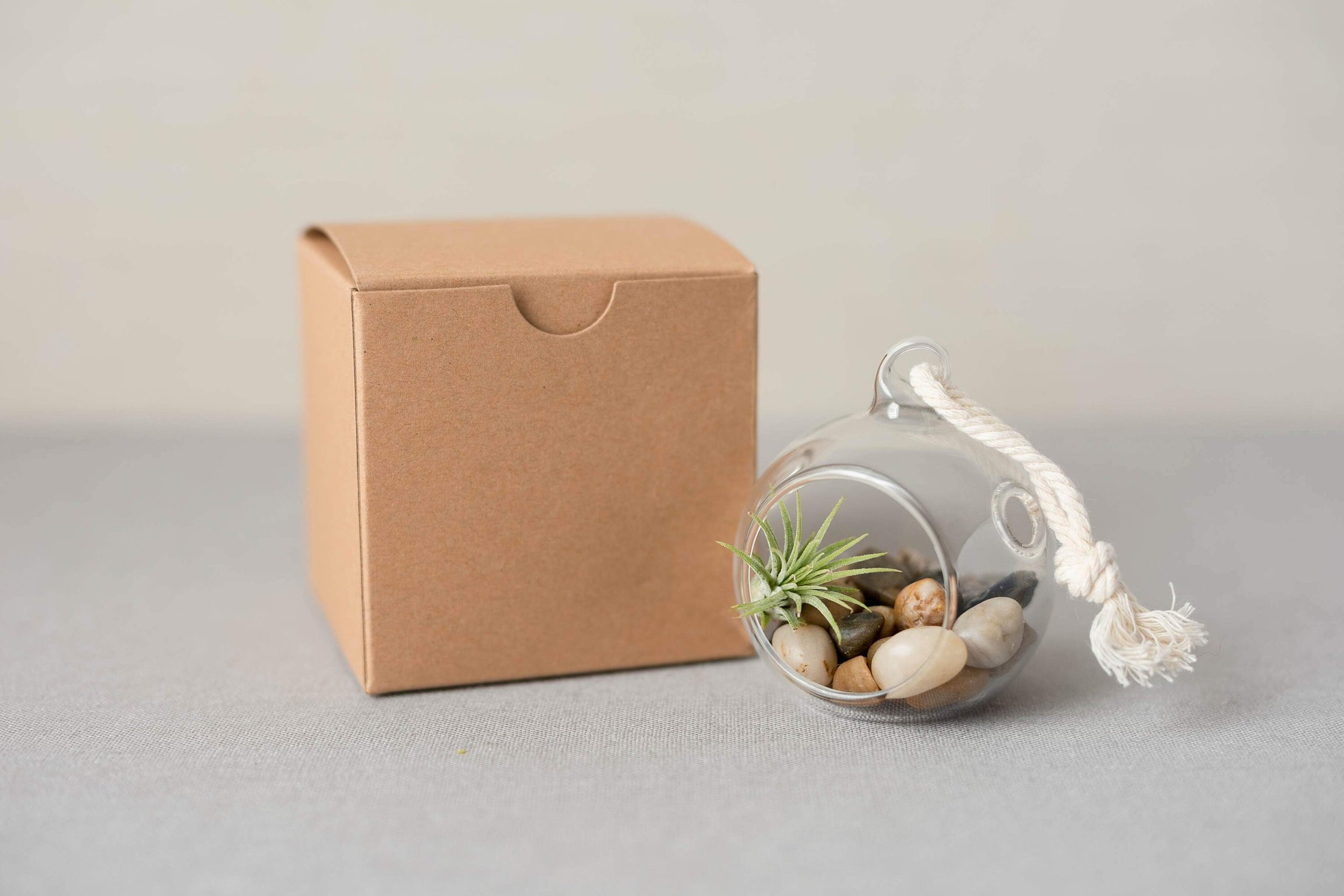 Orb-Air-Plant-Terrarium-Gift-Box.jpg