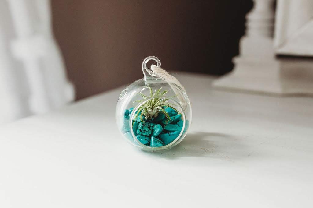 Orb-Air-Plant-Terrarium-Turquoise.jpg