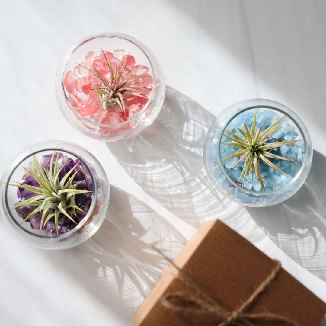 Mini Bubble Feature Photo.jpg
