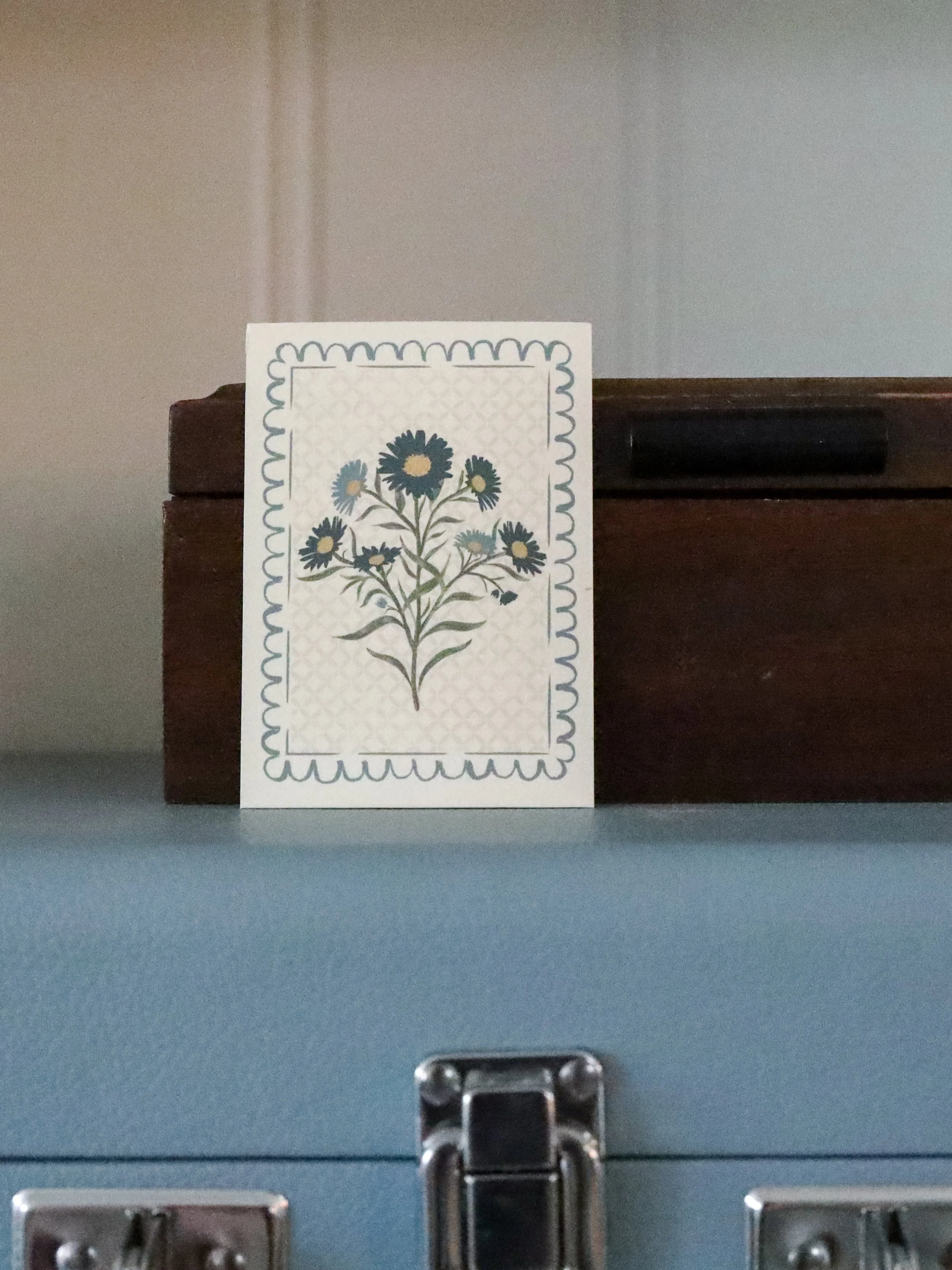 Blue Aster 1.jpg